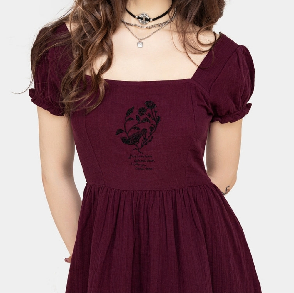 Disturbia Frances Burgundy Mini Dress